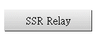 SSR Relay