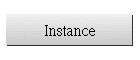 Instance